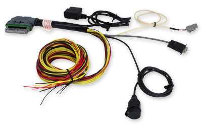 BMI Performance, AEM AQ-1 OBDII WIRE HARNESS WITH OBDII CONNECTOR